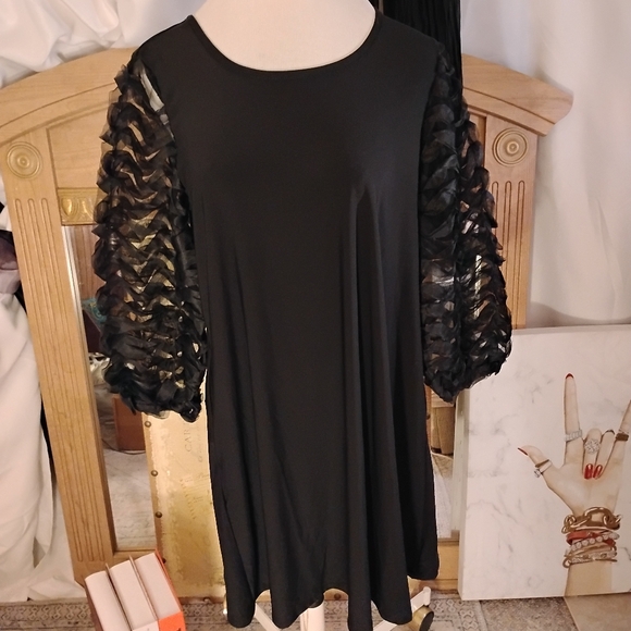 Nina Leonard Mesh Balloon Sleeves Elegant Black Dress. Loose Fit. Size Medium. - Picture 2 of 13